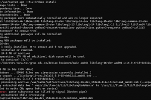 遇到了Debian 无法安装软件的情况缩略图